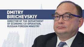 Possible comeback of foreign companies to Russia will be decided individually – Dmitry Birichevsky